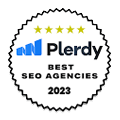 best SEO company by Plerdy