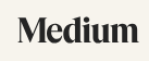 Top-Notch SEO Company