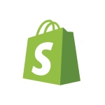 Shopify Website Audit