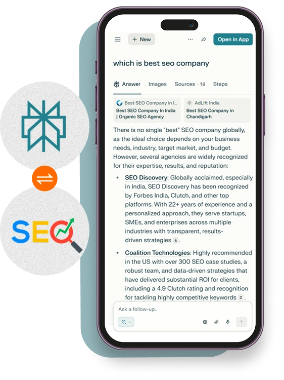 Perplexity AI SEO