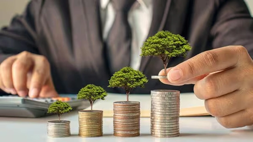 Finance & Insurance