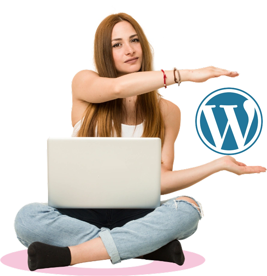 WordPress SEO optimization process